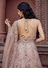 Beige Bliss Embroidered Net Lehenga