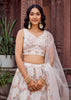 Pearl White Embroidered Net Lehenga