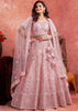 Blushing Pink Net Embroidered Bridal Lehenga