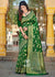 Garden of Roses: Banarasi Floral Jaal Katan Silk Saree in the Shades of Green (7702574104769)