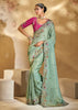 Mint Green Embroidered Kanjivaram Silk Saree
