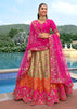 Rani Pink & Gold Embroidered Lehenga
