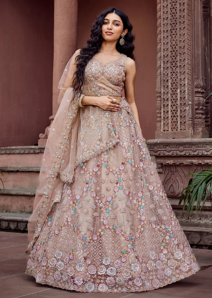 Beige Bliss Embroidered Net Lehenga