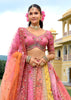 Vibrant Multi-Color Embroidered Lehenga