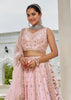 Light Pink Embroidered Designer Lehenga