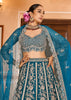Persian Blue Embroidered Net Lehenga