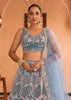 Teal Blue Embroidered Net Lehenga