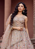 Beige Bliss Embroidered Net Lehenga