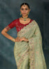 Pista Green Embroidered Designer Tissue Saree
