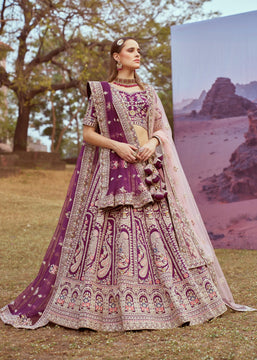 Adorn Craft 6053 Lehenga Choli HD (10701359284417)
