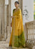 Cyber Yellow Woven Patola Silk Saree