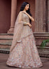 Beige Bliss Embroidered Net Lehenga