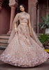 Beige Bliss Embroidered Net Lehenga