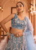Teal Blue Embroidered Net Lehenga