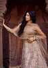 Beige Bliss Embroidered Net Lehenga