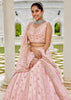Light Pink Embroidered Designer Lehenga